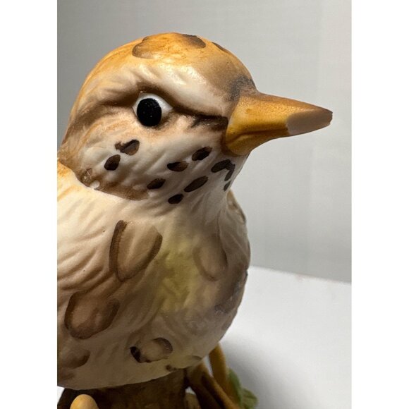 Mistle Thrush Bird Figurine by Maruri Lovely 5 inch READ - Picture 5 of 7